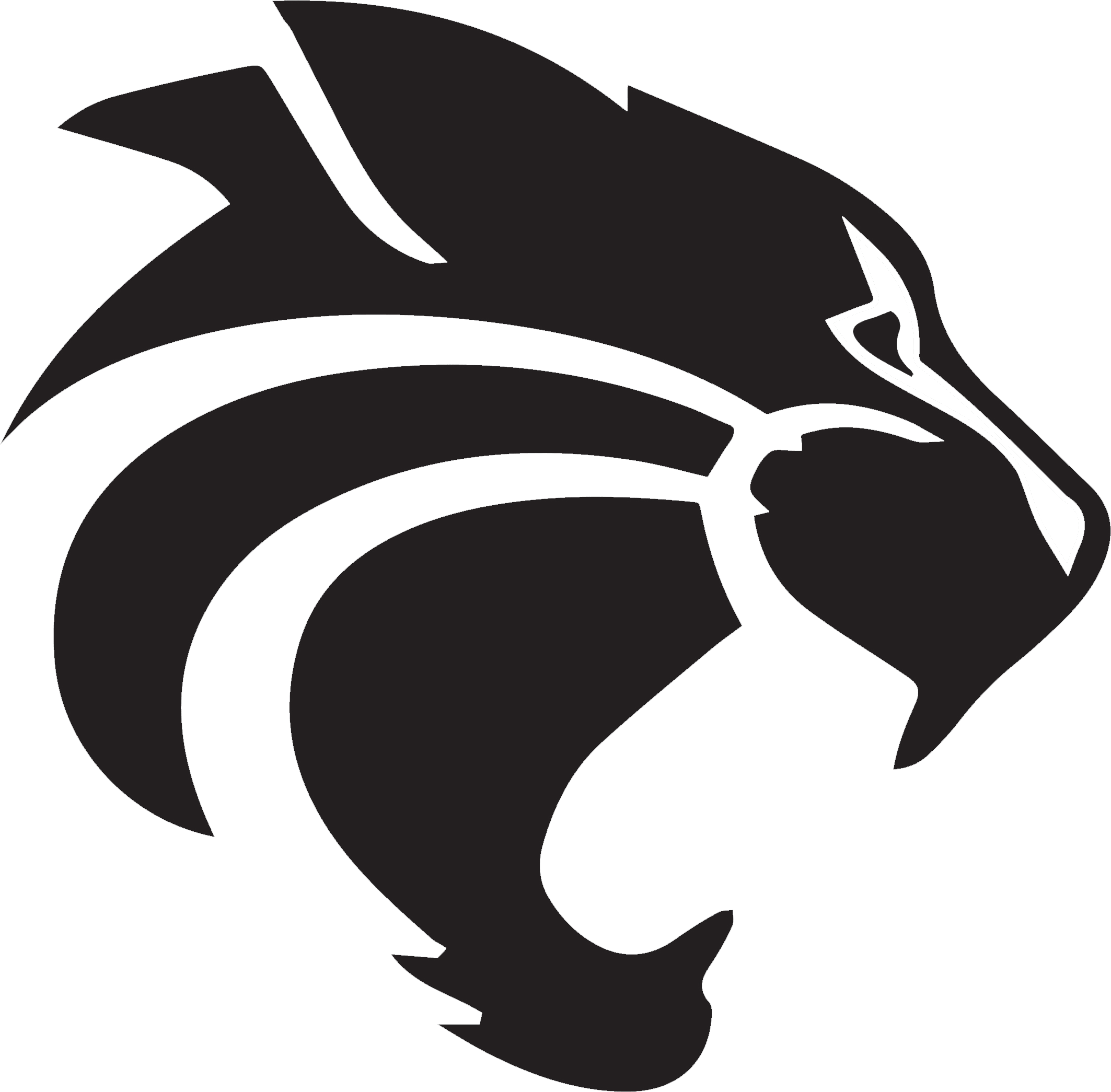 Official Delaney Elementary school logo with a wildcat, shown in black, from the Texas Christkindl Market schedule.