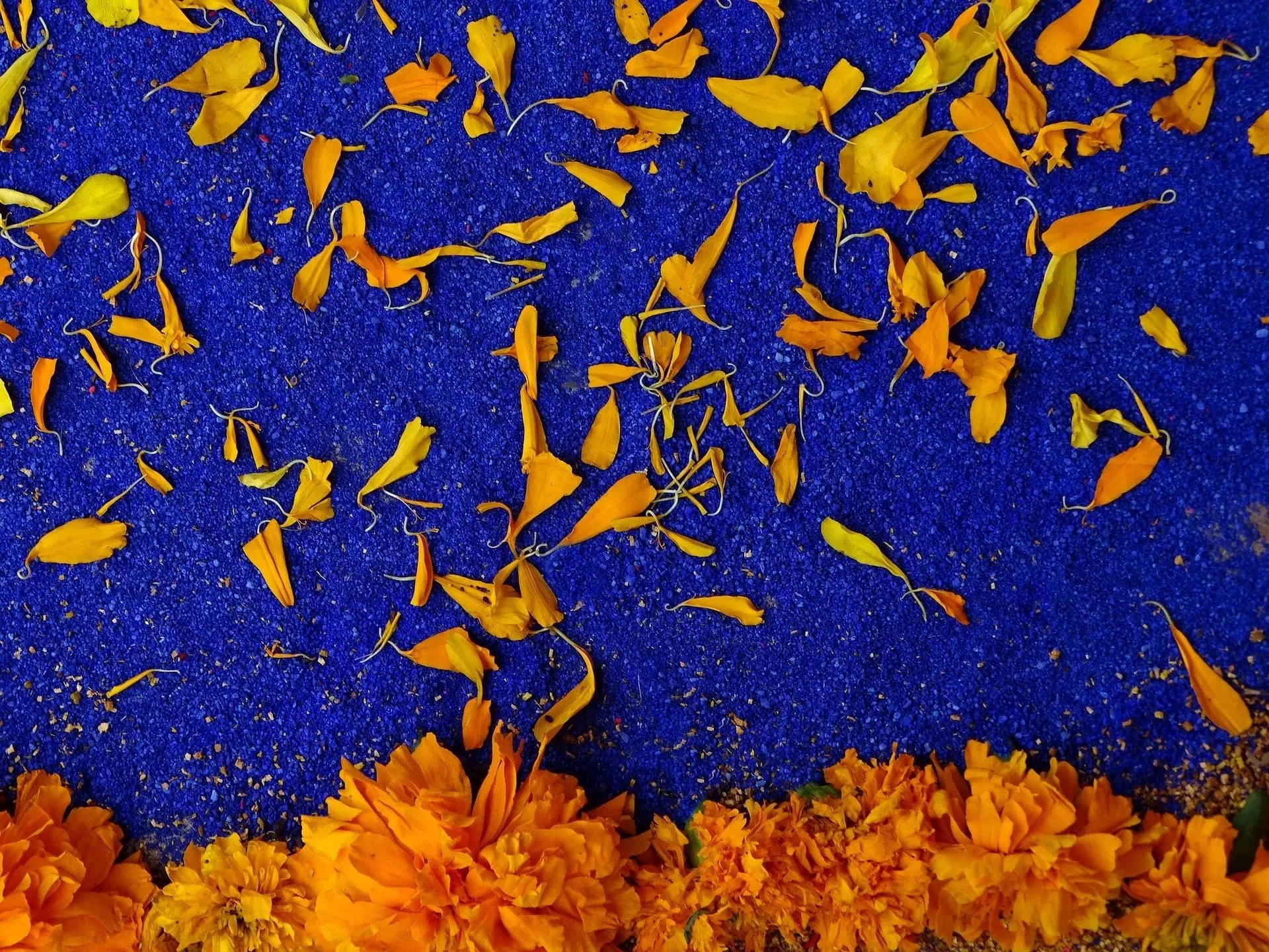 Marigold petals in the official Celebración del Día de Muertos website image.