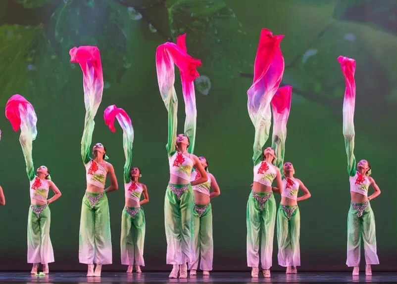 Official Dance of Asian America company performance photograph; not a photograph of the upcoming gala.