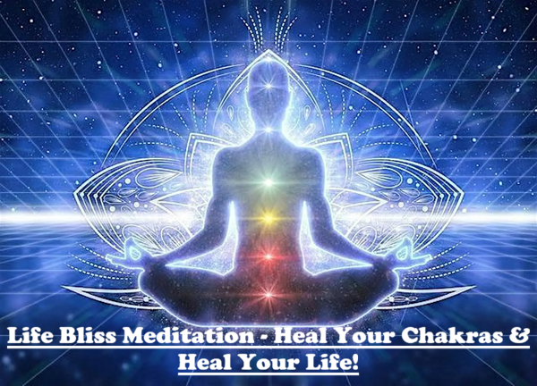 Official artwork for Life Bliss Meditation - Heal Your Chakras & Heal Your Life! as listed on Eknazar.