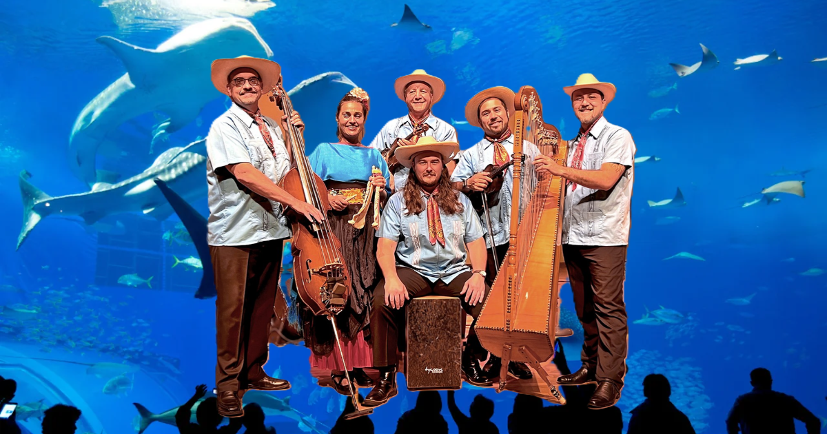 Promotional graphic for the Shedd Aquarium Matinee listed on the Sones de Mexico events page.