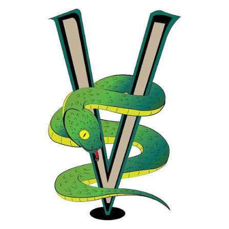 Official artwork for the Viridian Elementary Viper Choir from the Texas Christkindl Market entertainment schedule.